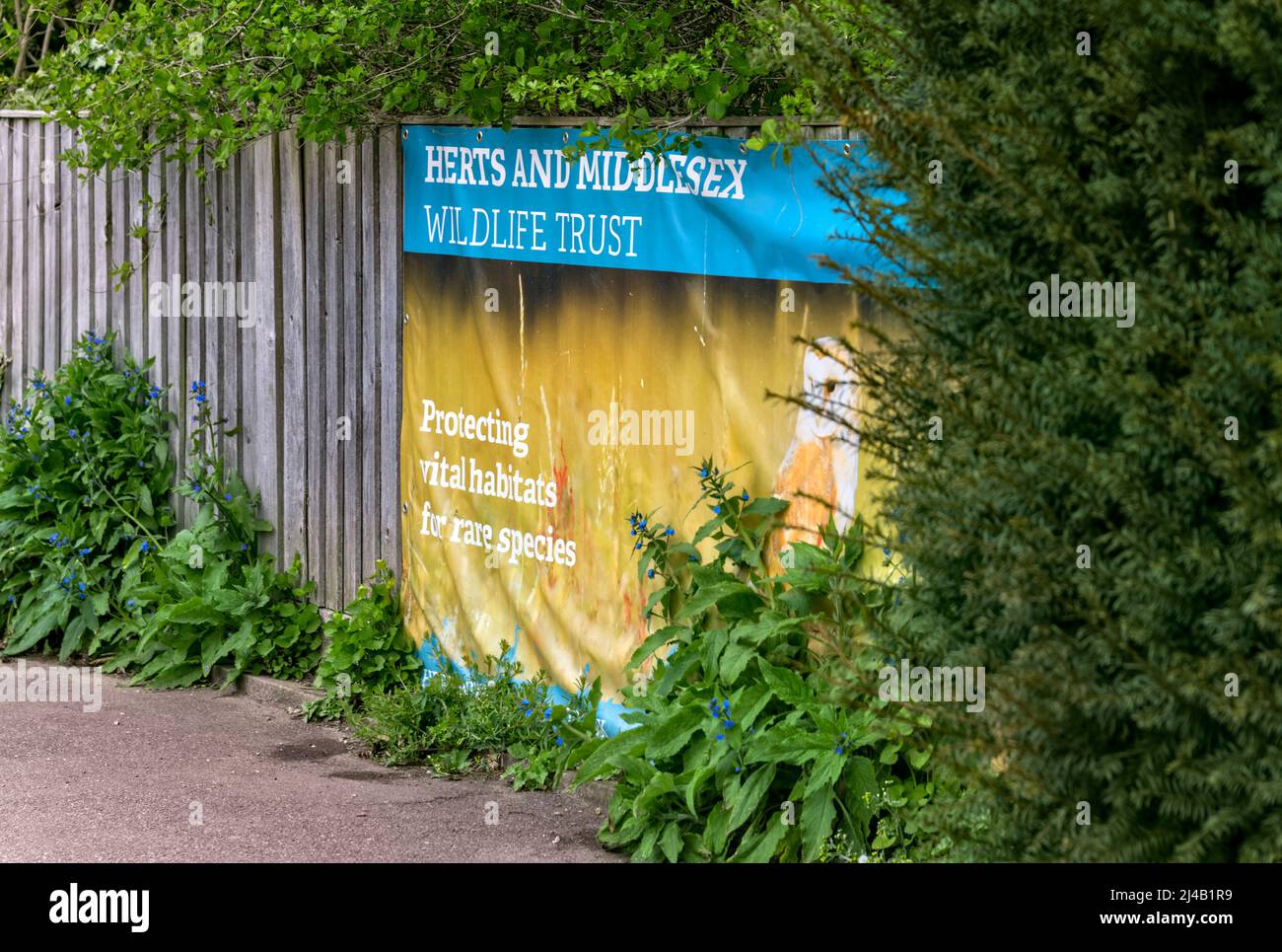 Herts and middlesex wildlife advertising banner hires stock