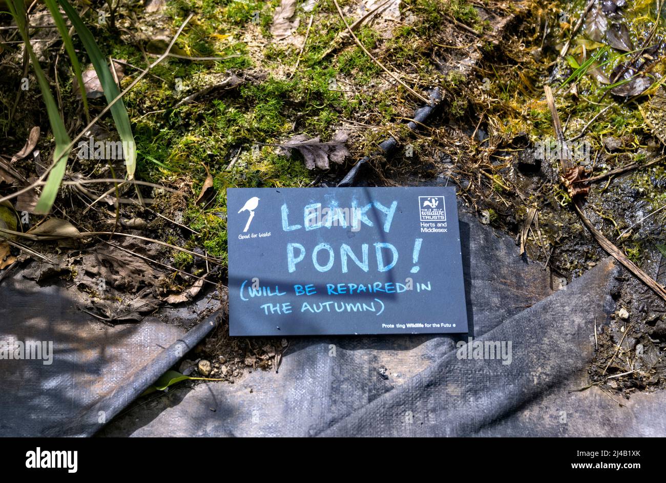 Leaky Pond sign, St. Albans Hertfordshire UK Stock Photo
