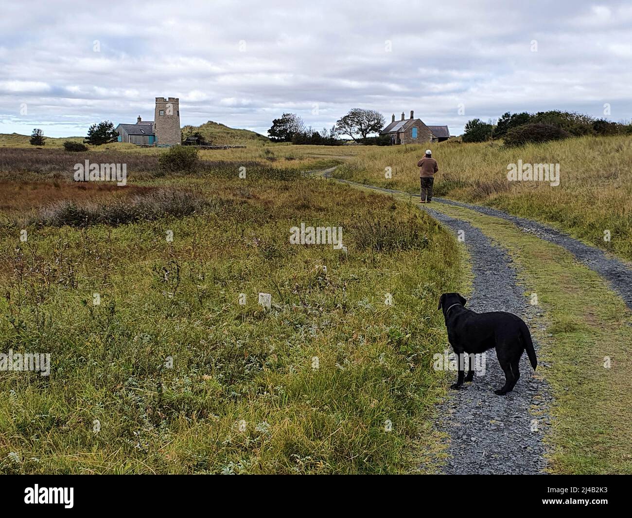 A man, watched by a dog, looks at Snook House (right) which features in the TV crime drama Vera. Snook Tower at left. Stock Photo