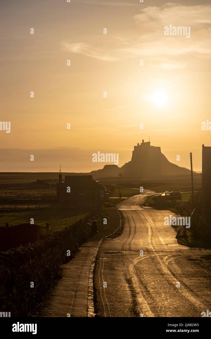 Road to Holy Island Castle illuminated in yellow light after a frosty sunrise Stock Photo