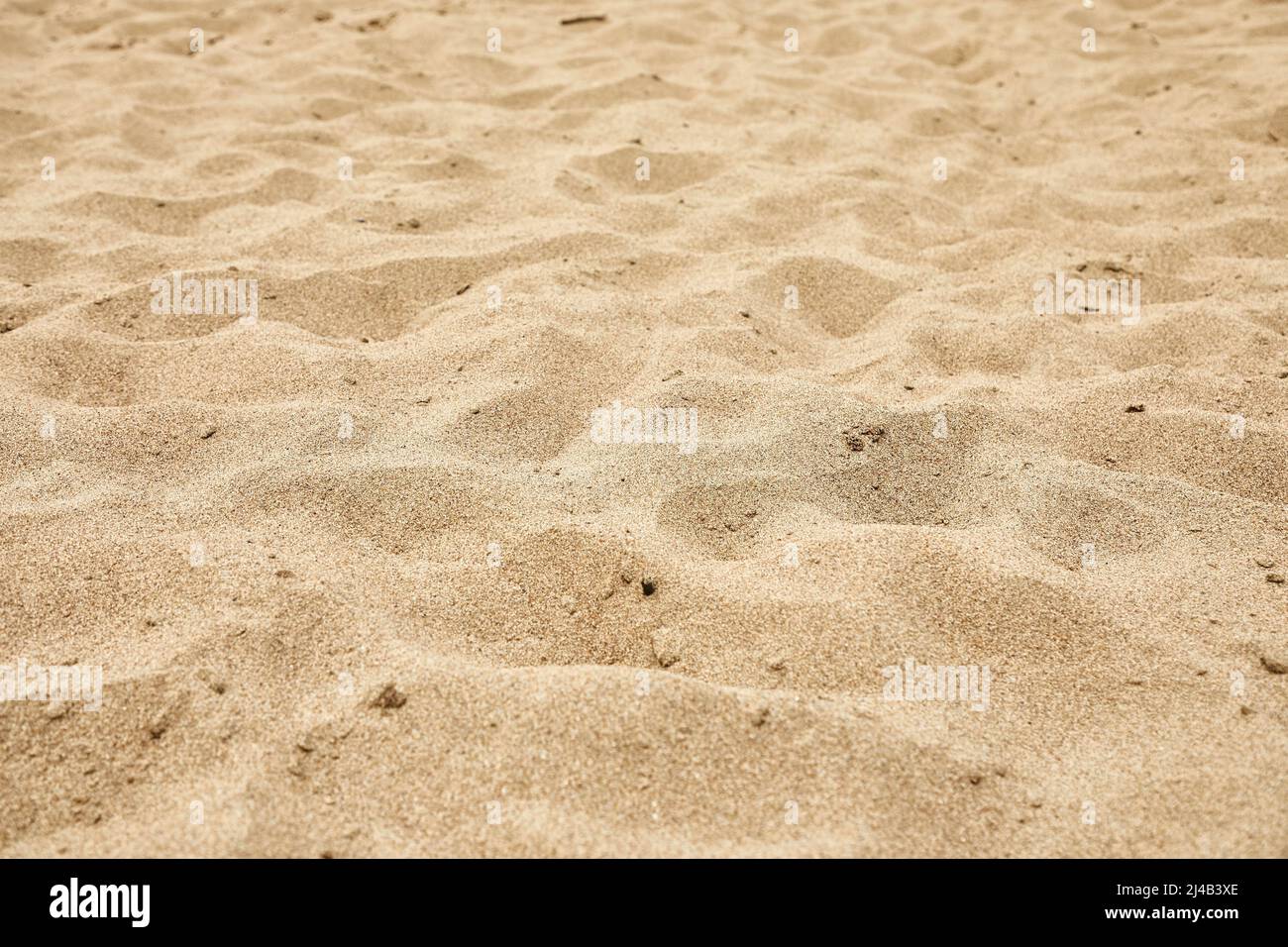 Sand of a beach Stock Photo Alamy