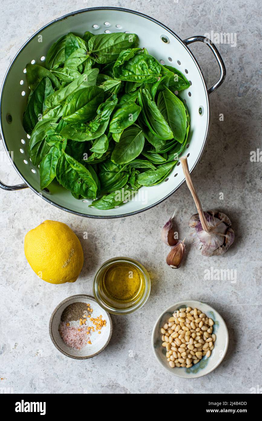 Ingredients and preparation of Dairy Free Pesto Stock Photo Alamy