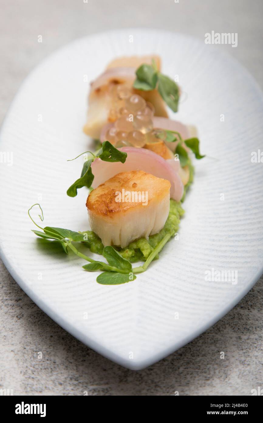 scallops yuzu ponzu sauce mashed peas pickled eschalots charred lemon Stock Photo