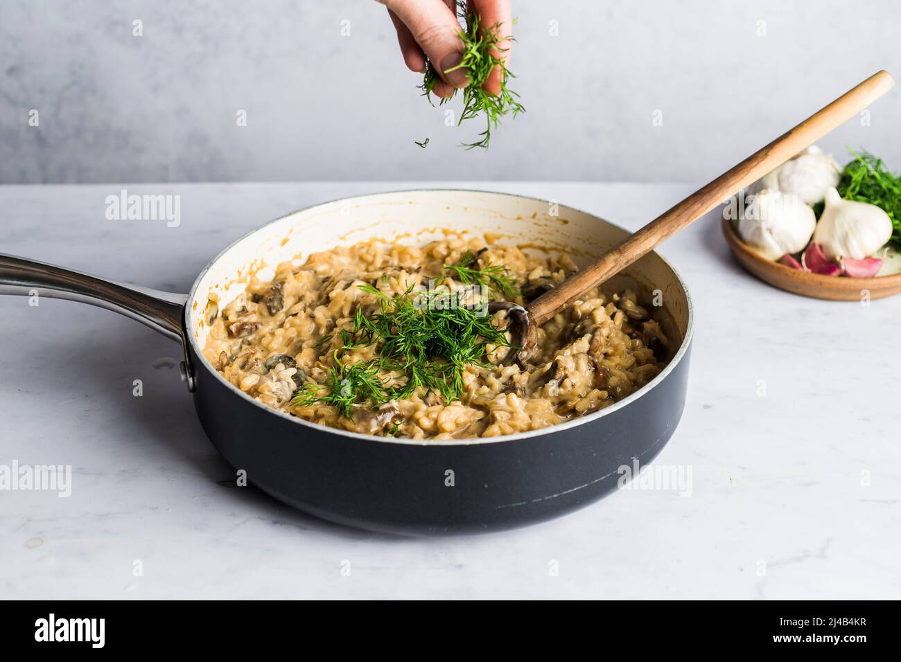 Porcini mushroom risotto in a pan with fresh dill Stock Photo - Alamy