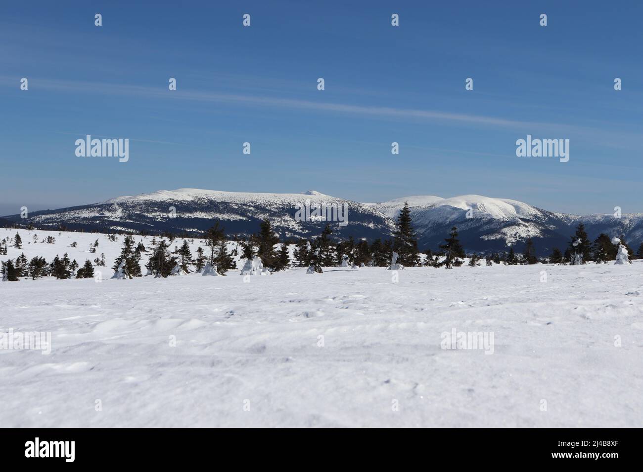 Winter scene in the upper parts of Krkonoše mountains (Giant Mountains), Czech Republic. Stock Photo