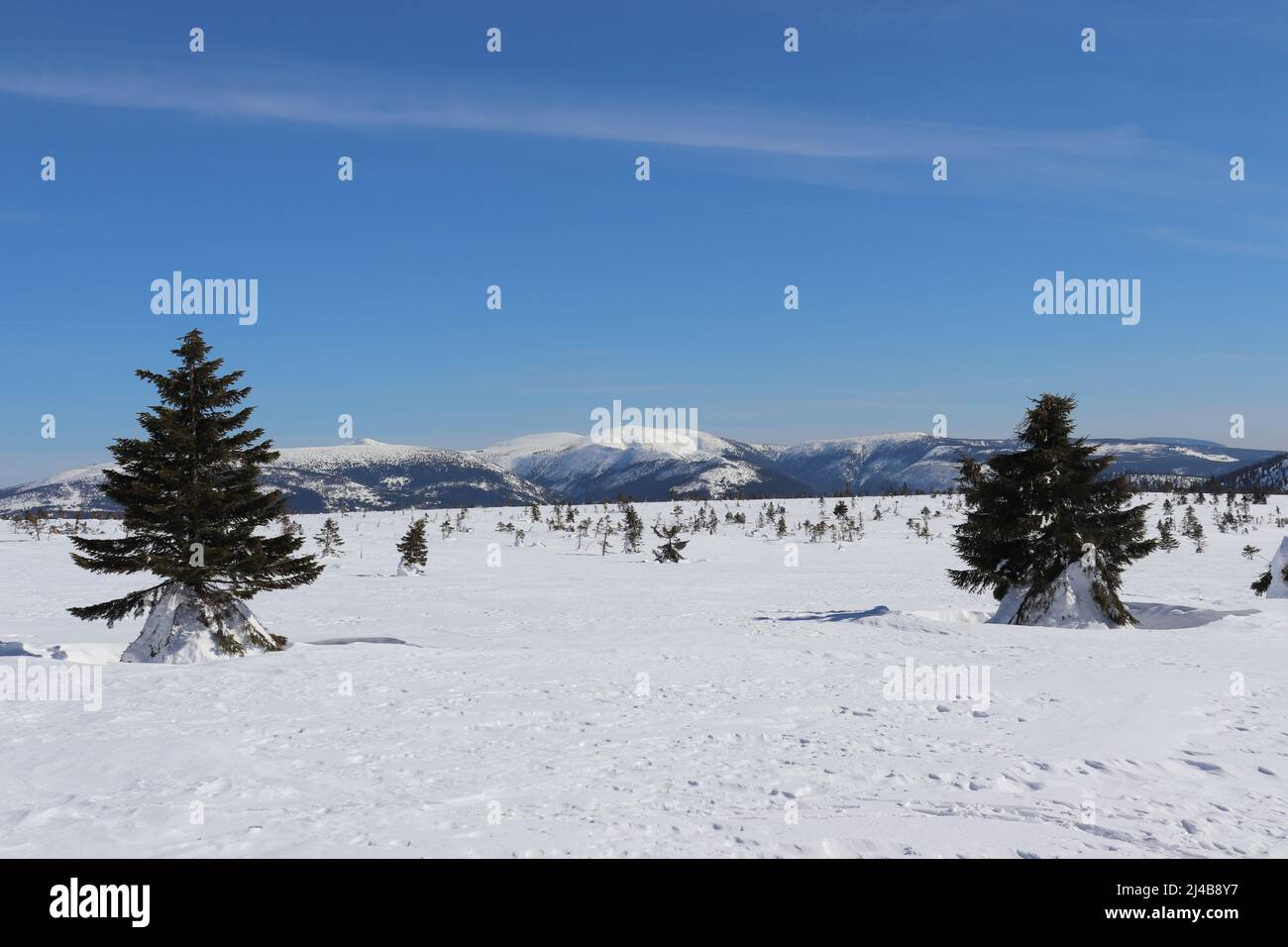 Winter scene in the upper parts of Krkonoše mountains (Giant Mountains), Czech Republic. Stock Photo