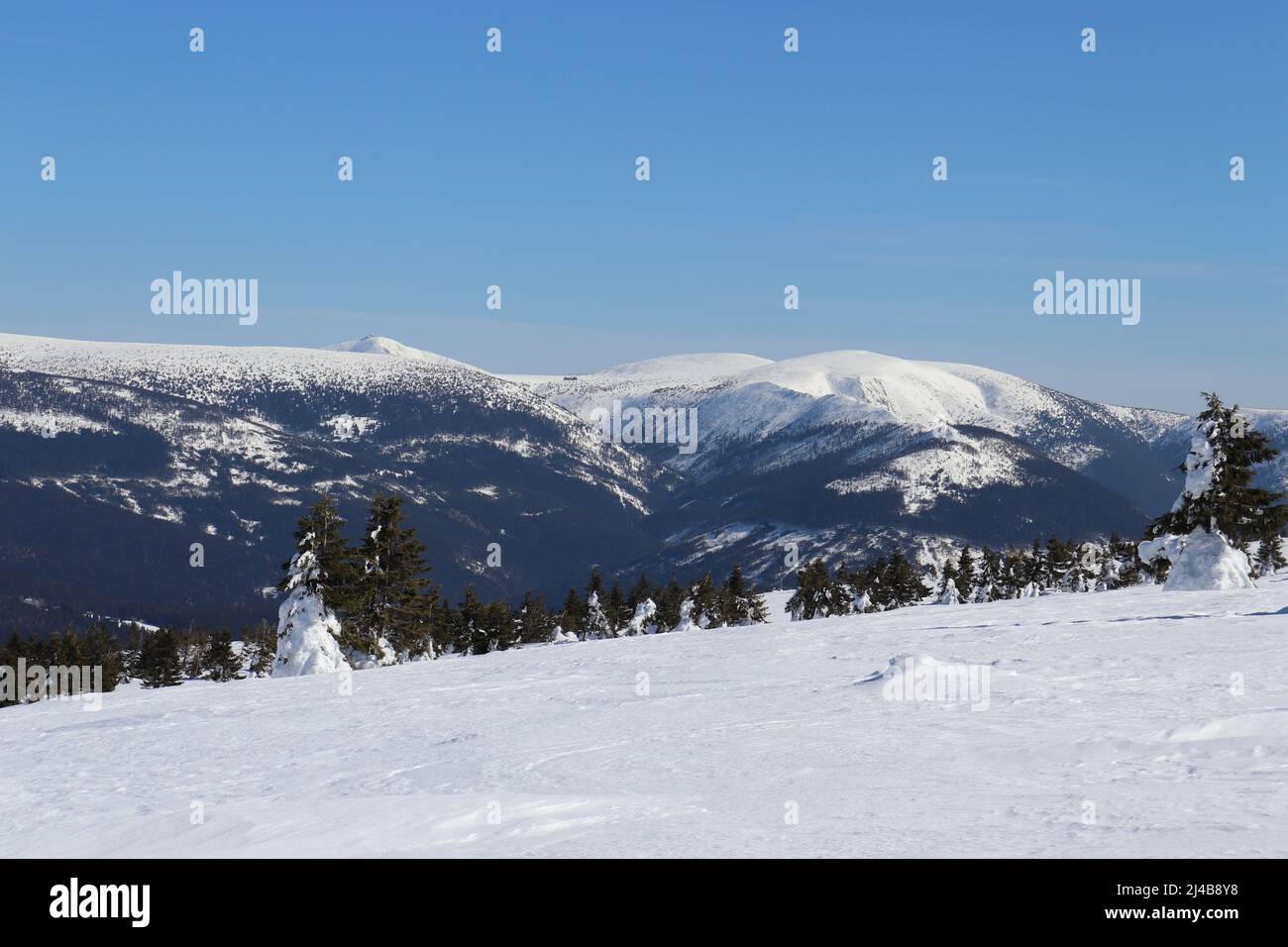 Winter scene in the upper parts of Krkonoše mountains (Giant Mountains), Czech Republic. Stock Photo