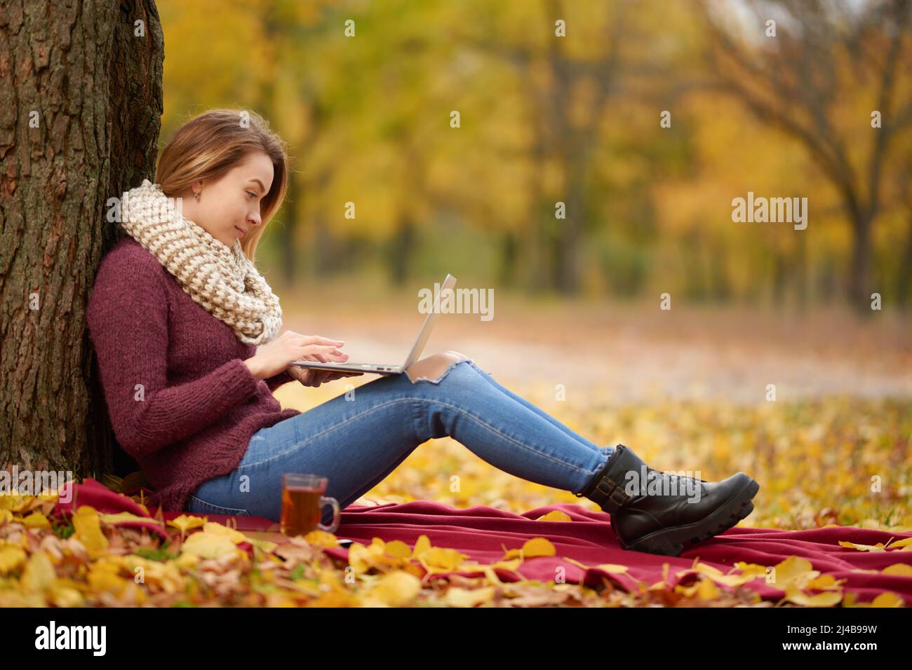 A girl in an autumn park behind a robot on a laptop, on a warm whip. Concept of autumn warmth, atmosphere and comfort, working in nature, freelancing, Stock Photo