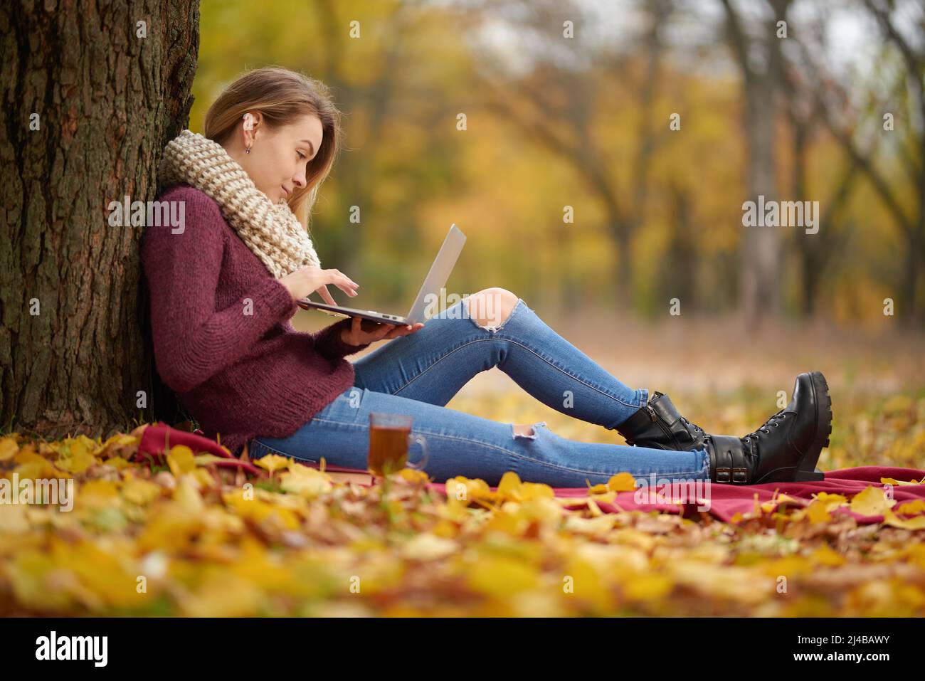 A girl in an autumn park behind a robot on a laptop, on a warm whip. Concept of autumn warmth, atmosphere and comfort, working in nature, freelancing, Stock Photo