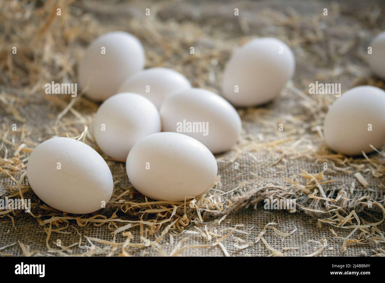 White chicken eggs in the straw nest on a burlap on wooden boards Stock ...