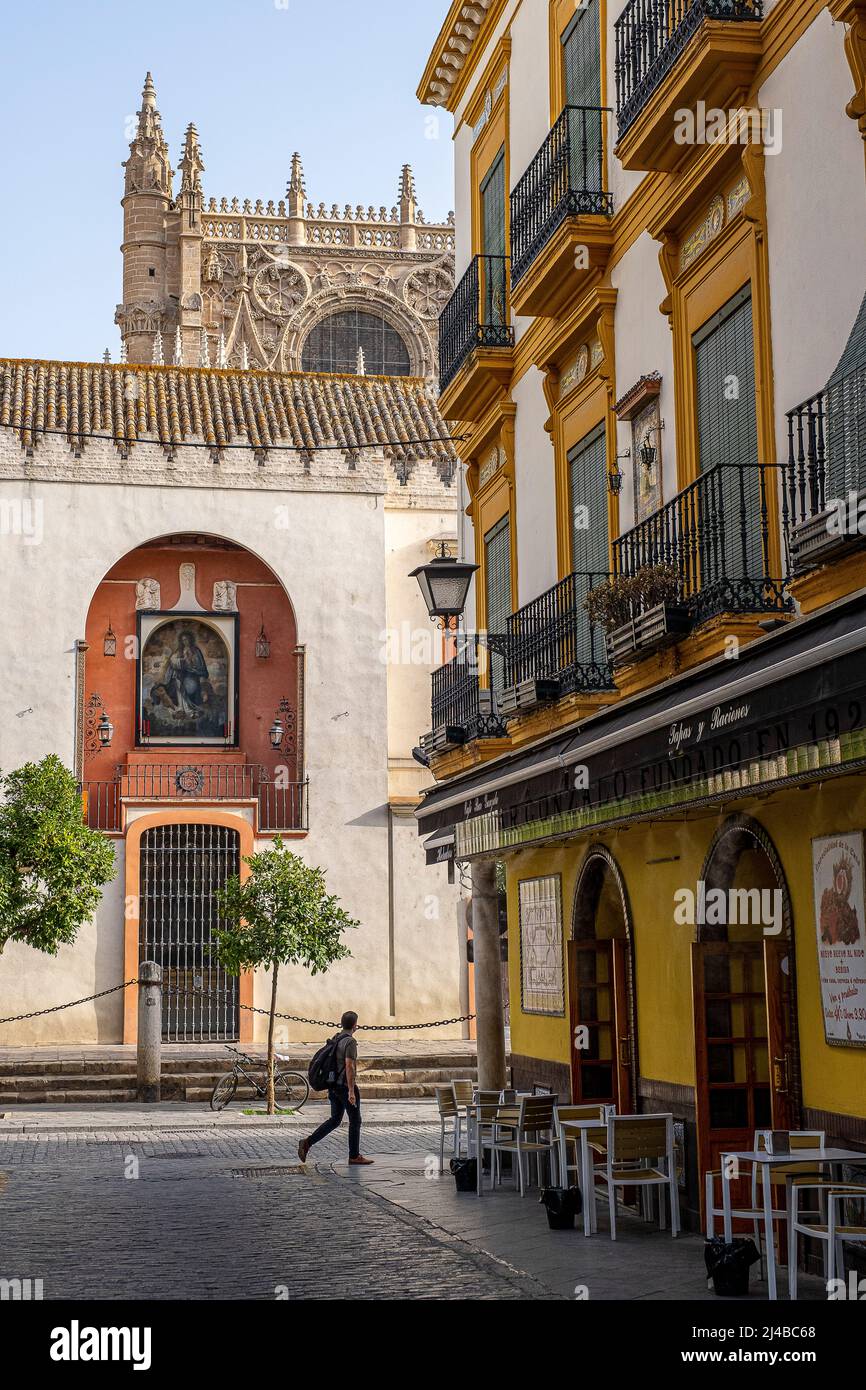 Calle Alvarez Quintero, street, in background the Cathedral, Seville, Andalucia, Spain Stock Photo