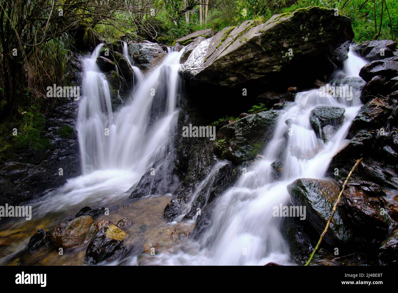 Beautiful landscape of inter-Andean forest where a stream of water runs that forms waterfalls and a small river. Stock Photo