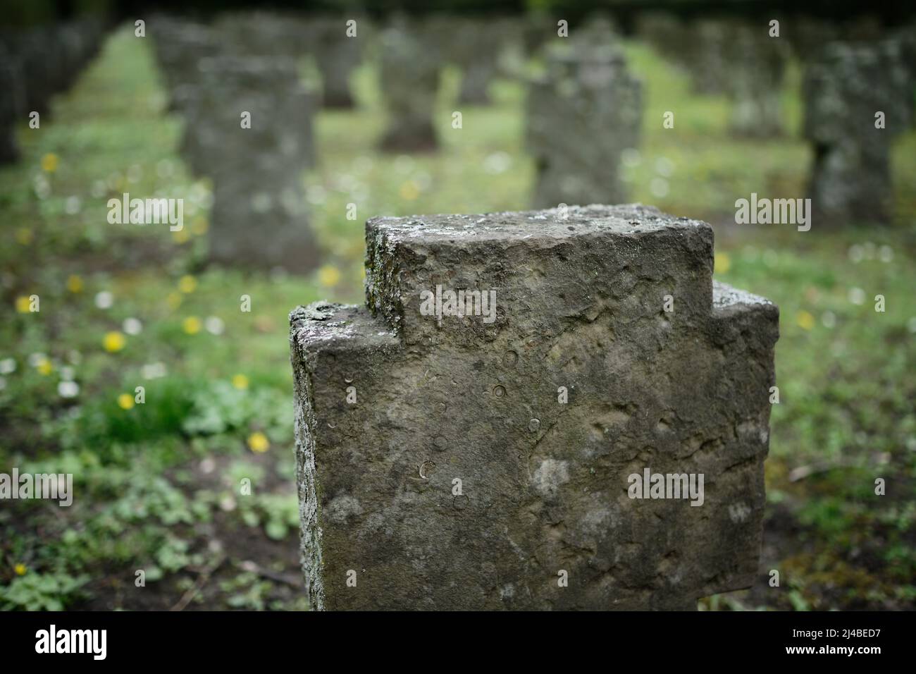 cross-shaped gravestones in a world war cemetery in germany Stock Photo