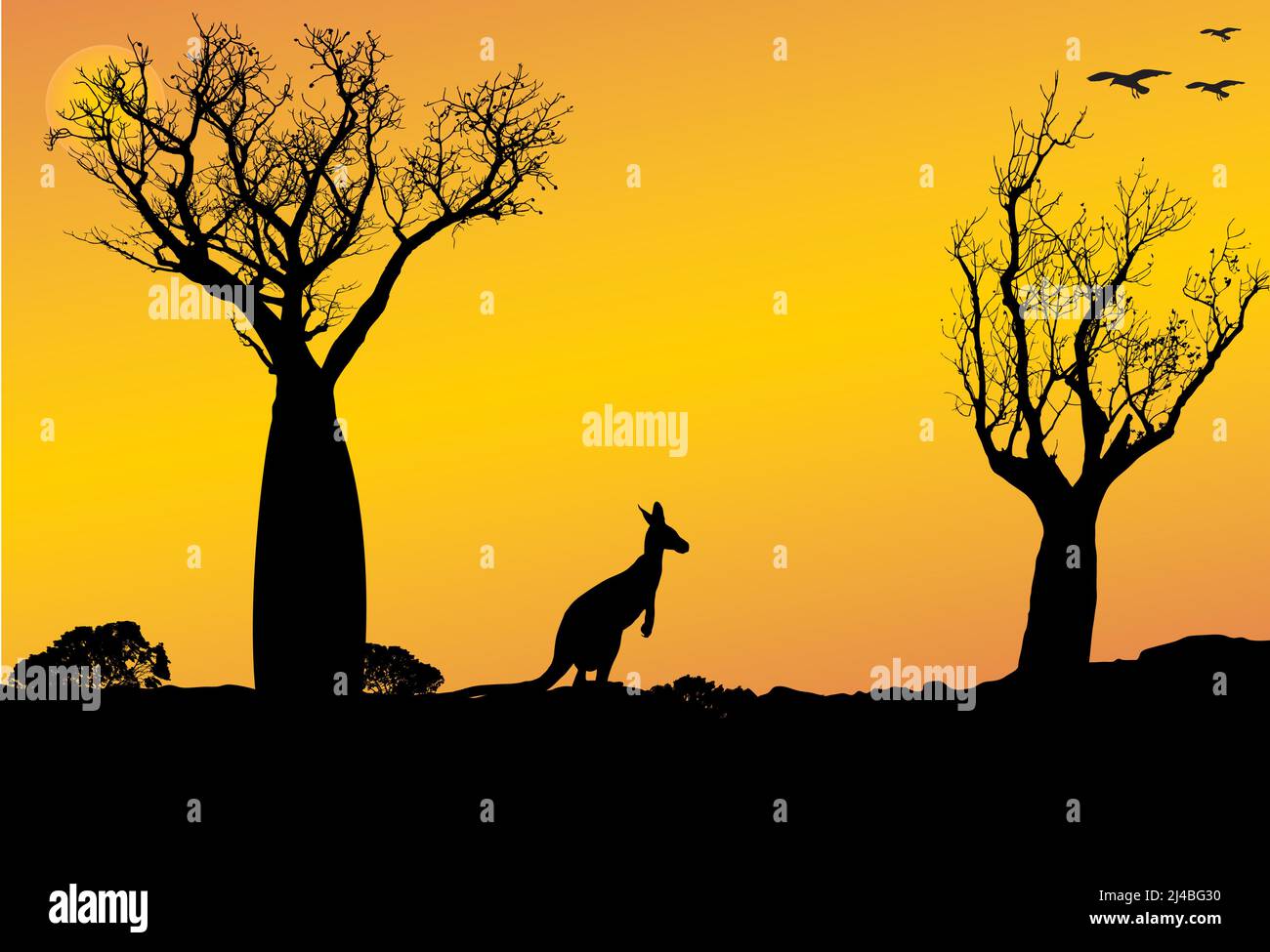 sunset in outback of Western Australia with kangaroo and boab trees, Adansonia gregorii Stock Vector