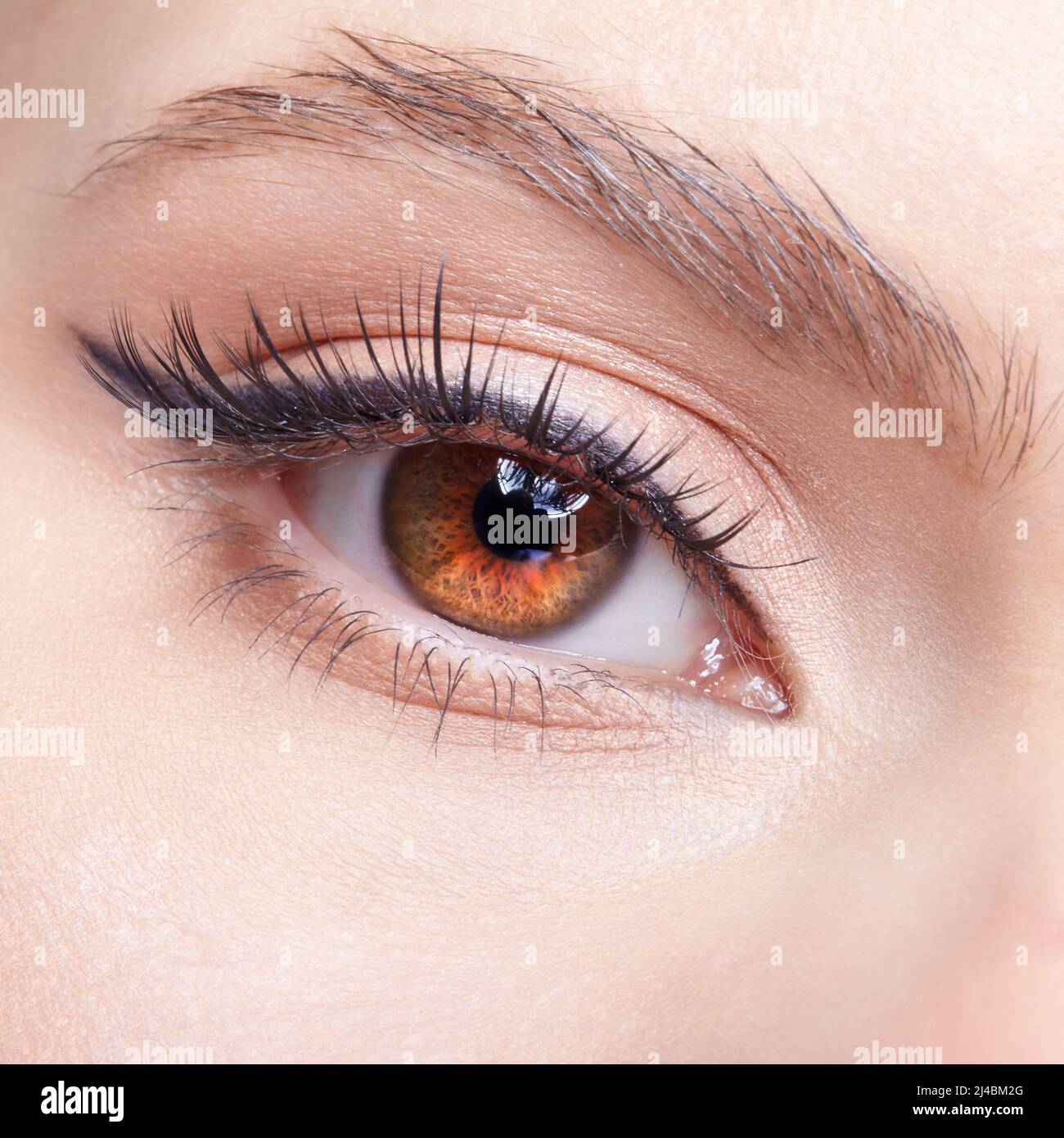 Closeup macro shot of  human female eye. Woman with natural vogue face beauty makeup. Girl with perfect skin and  light pink  eyes shadows. Stock Photo