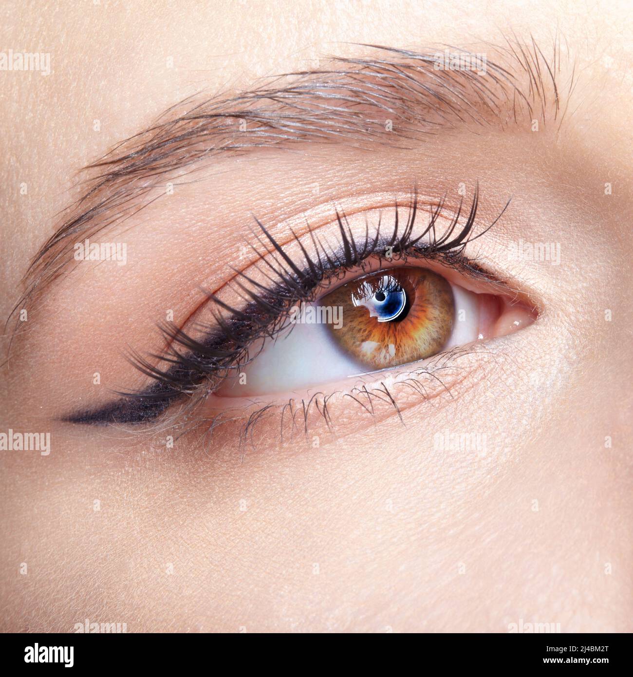 Closeup macro shot of  human female eye. Woman with natural vogue face beauty makeup. Girl with perfect skin and  light pink  eyes shadows. Stock Photo