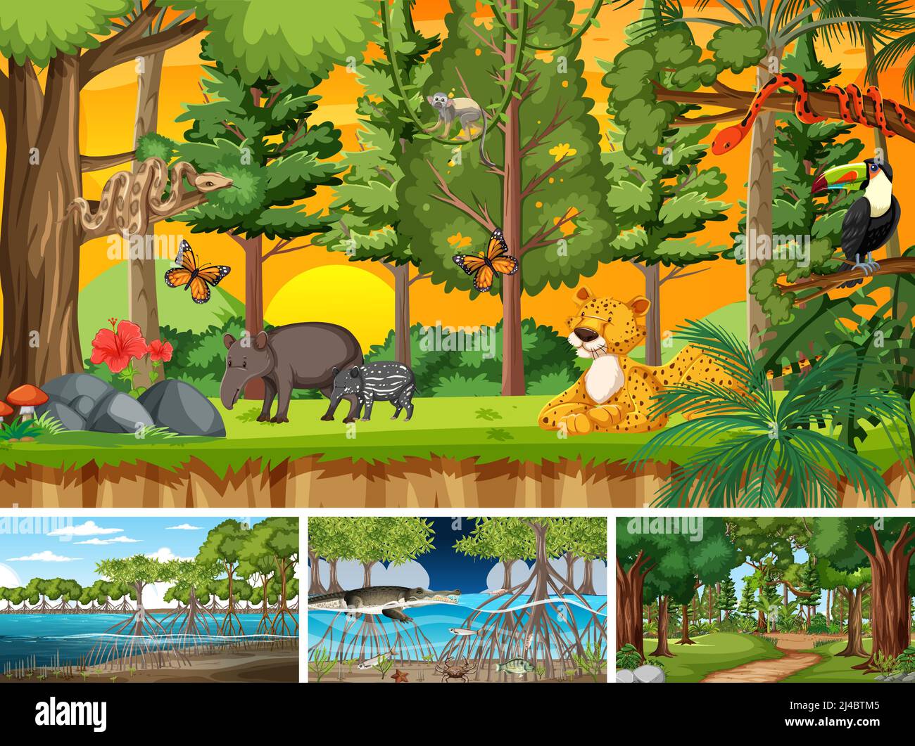 Scenes with wild animals in the forest illustration Stock Vector Image ...
