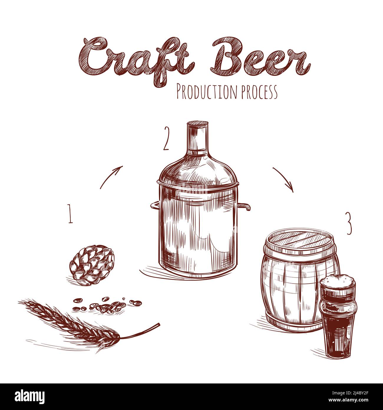 Brewing process hand drawn concept with ingredients and main steps of craft beer production
