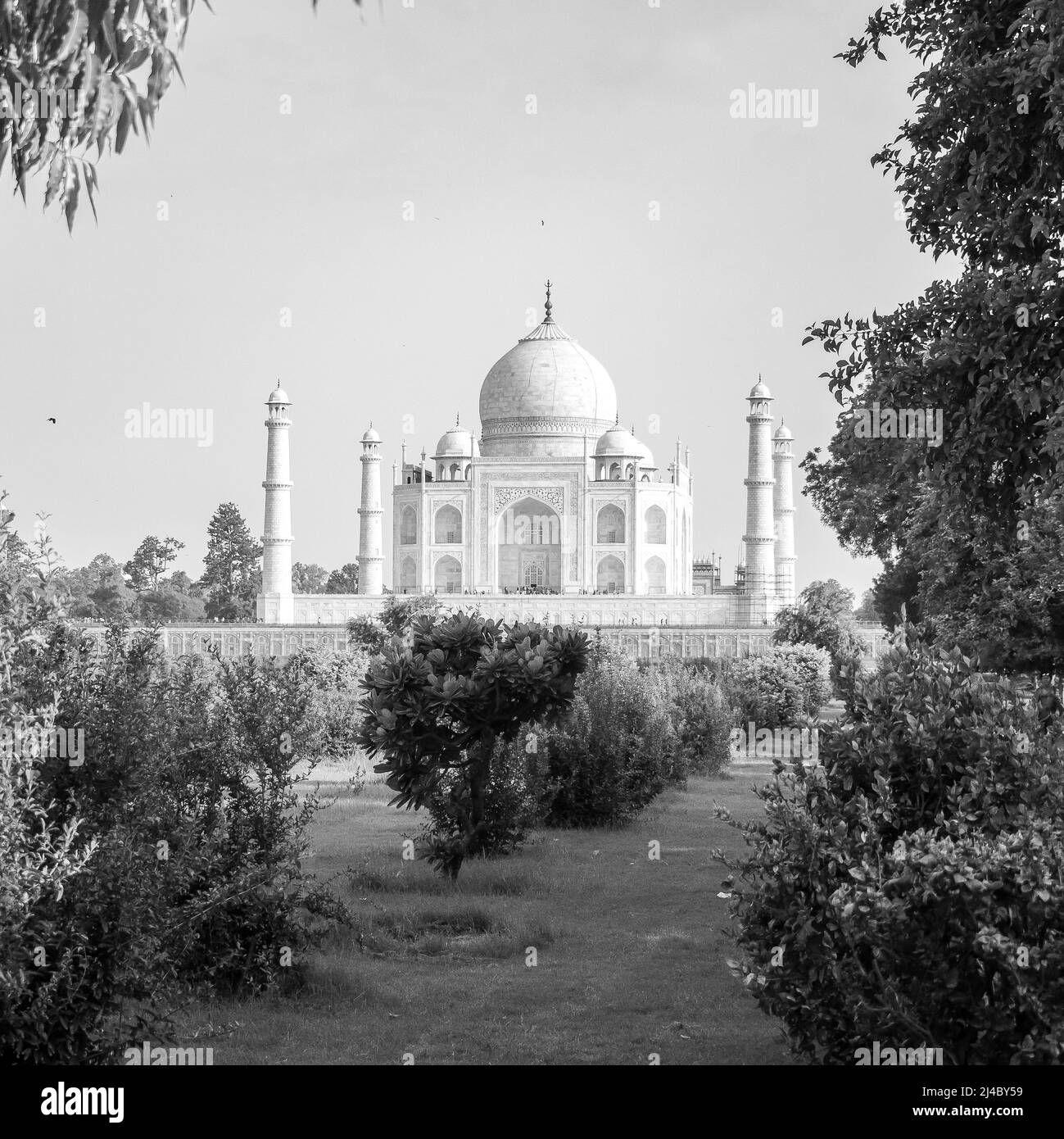 Taj Mahal One Of The Wonder Of The World View From Mehtab Bagh Garden Taj Mahal One Of The Wonder Of The World View From Mehtab Bagh Garden