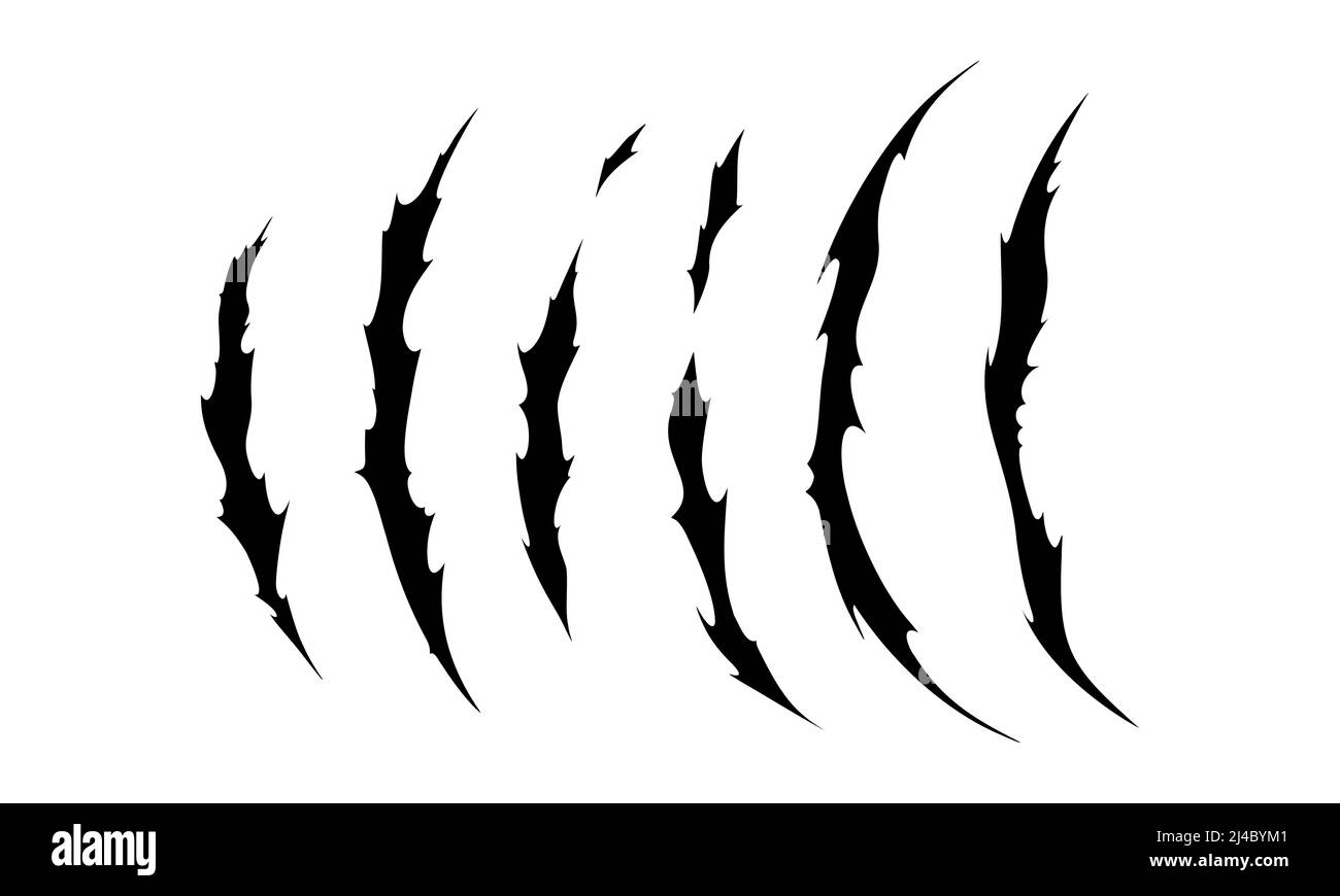 Claw scratches of wild animal. Cat scratches marks isolated in white