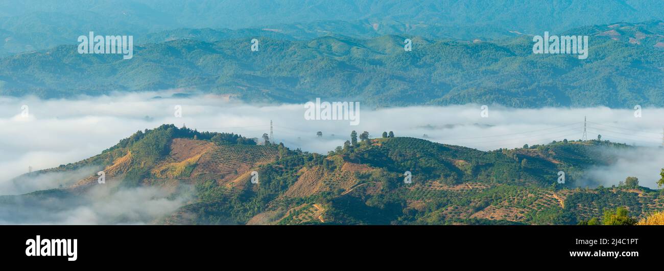 Panoramic Mist Mountain at Sunrise time Stock Photo