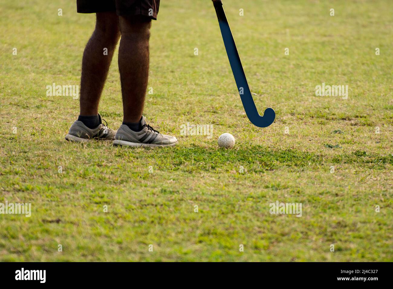 Hockey player going to pick up hockey ball Stock Photo Alamy
