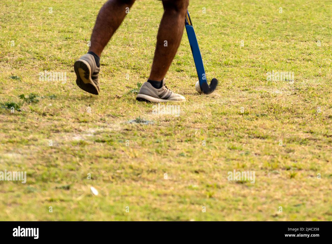 Hockey player going to pick up hockey ball Stock Photo Alamy
