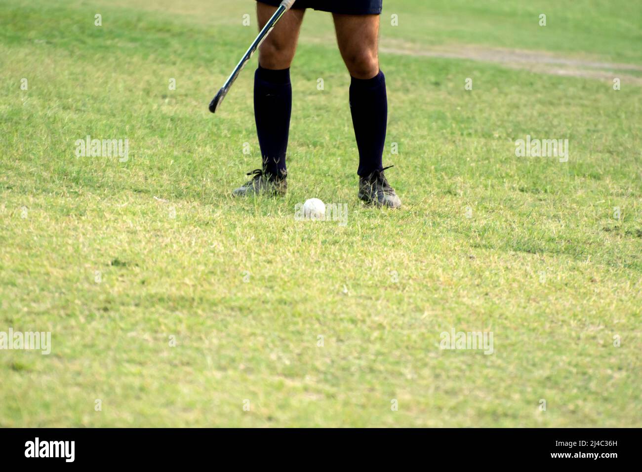 Hockey player going to pick up hockey ball Stock Photo Alamy