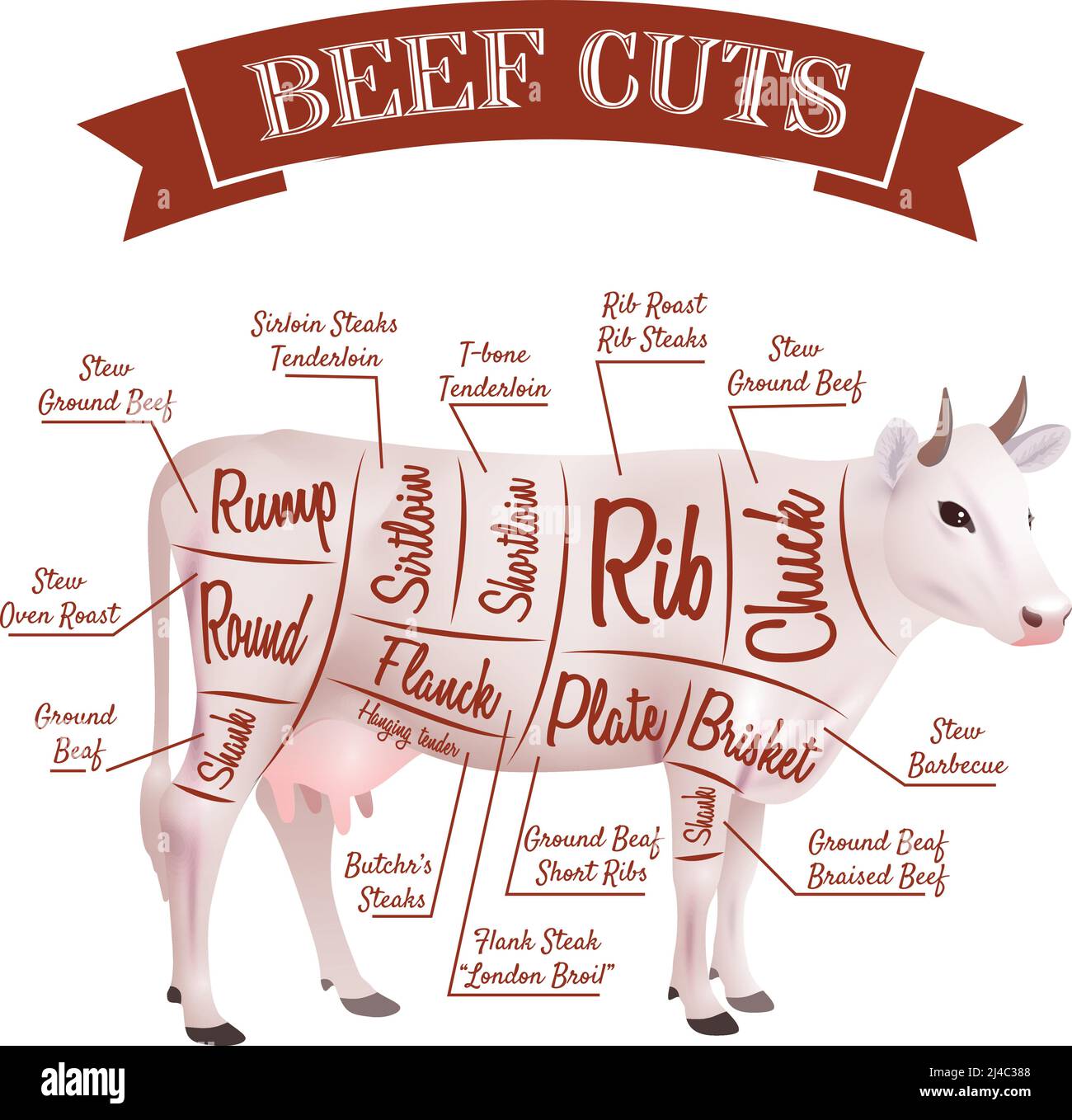 Beef cuts concept with realistic cow with parts scheme vector illustration Stock Vector