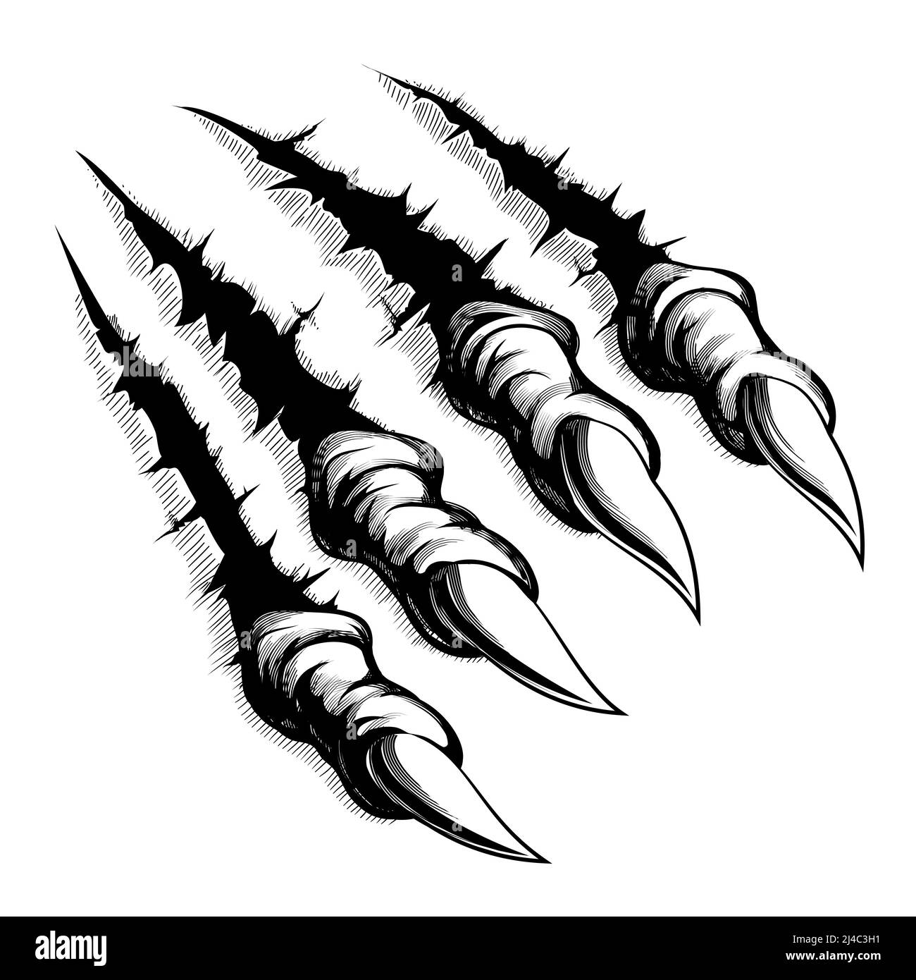 Black and white illustration of monster claws breaking through ripping tearing and scratching the wall. Vector illustration Stock Vector