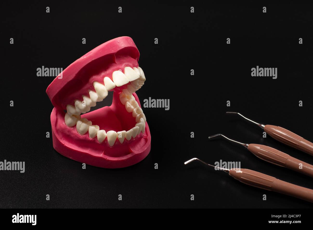 Set of instruments for dental treatment with a layout of the human jaw
