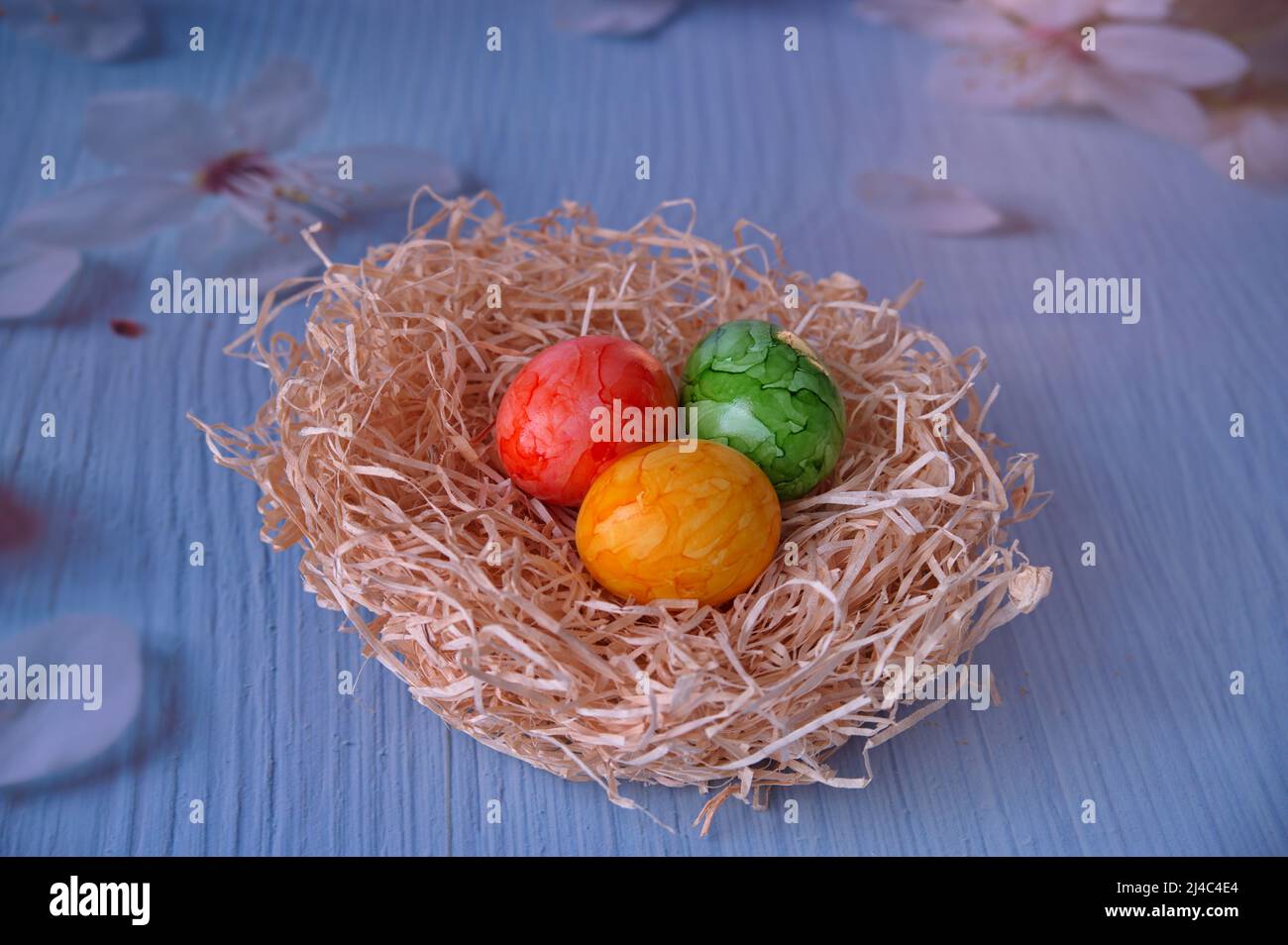 Easter eggs in straw nest against blue background Stock Photo - Alamy