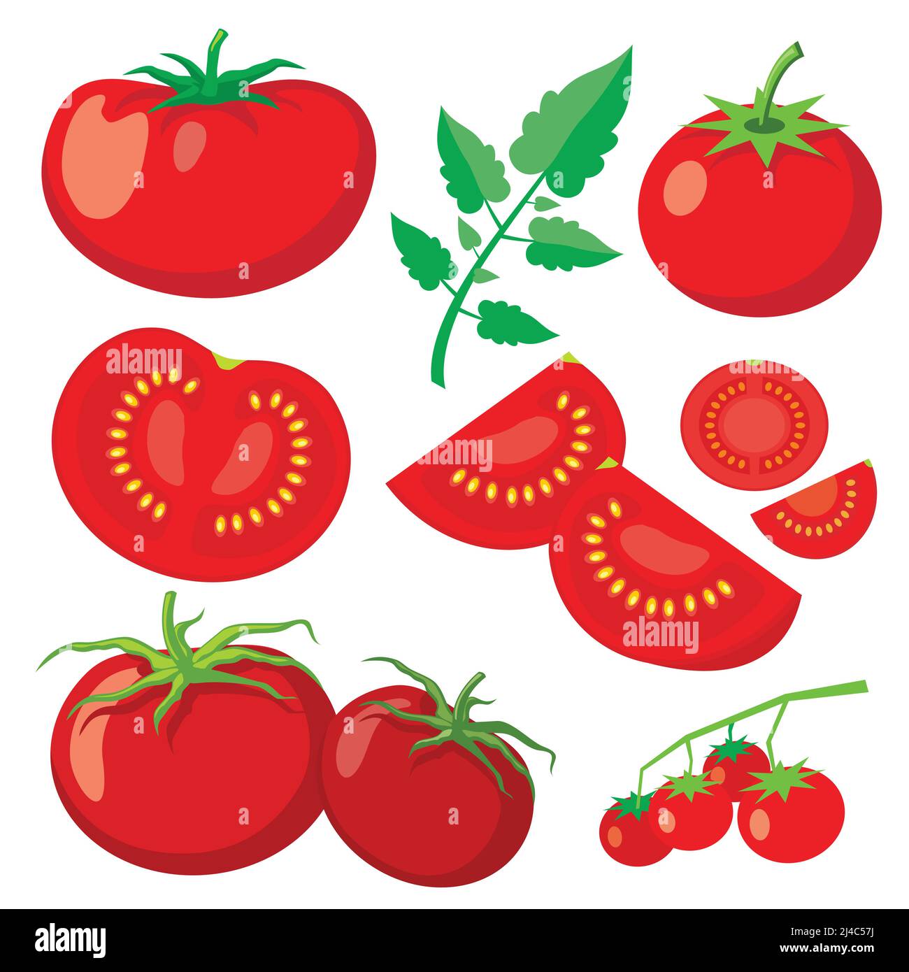 Vector fresh tomatoes in flat style. Healthy vegetable food, organic