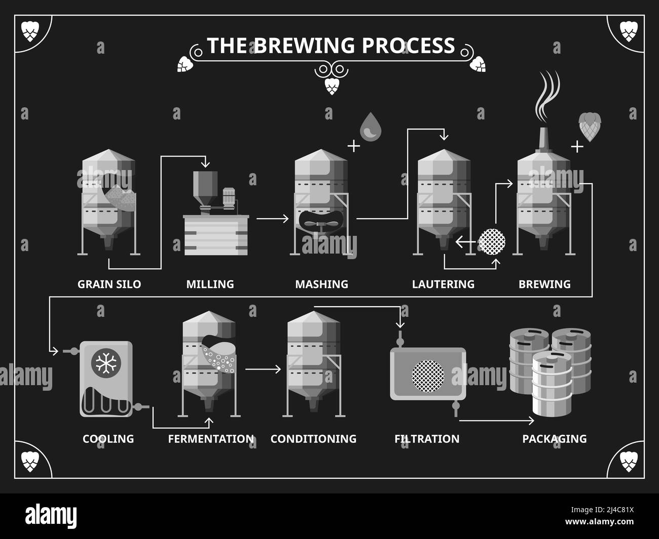 Beer brewing process. Vector beer production infographic set. Order
