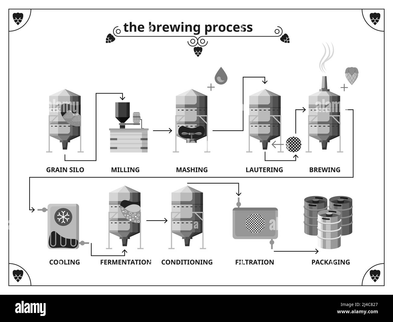 Brewery production process vector infographics template.  Fernentation and conditioning, filtration and packing illustration Stock Vector