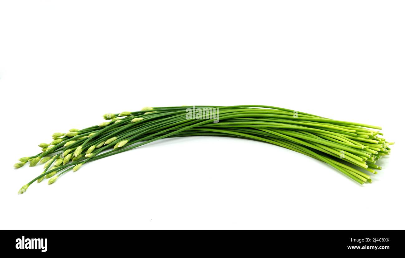 Isolated Garlic chives or Chinese chives on white background, a bunch of organic Garlic chives. Stock Photo