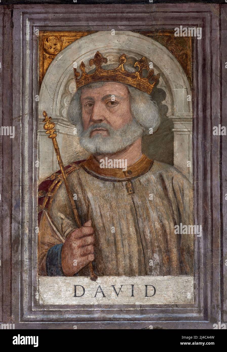 David , re di Israele - affresco - Girolamo Tessari - 1526 - Padova, chiesa di S. Francesco Grande Stock Photo