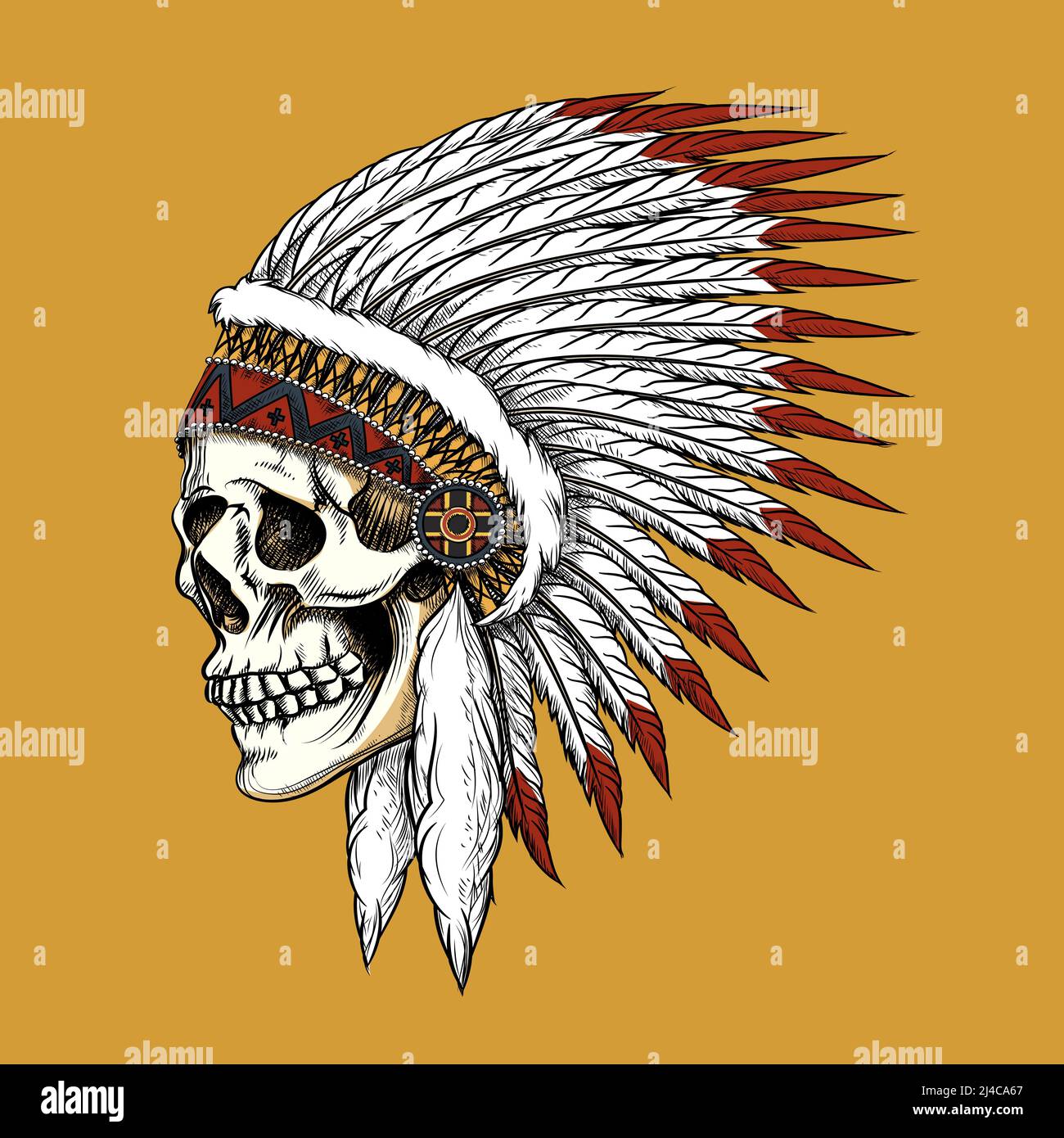 Vector indian skull. Feather and tribal, bone and skeleton, western cowboy Stock Vector