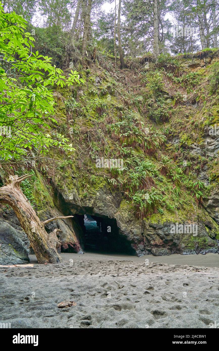 Little river blowhole hi-res stock photography and images - Alamy
