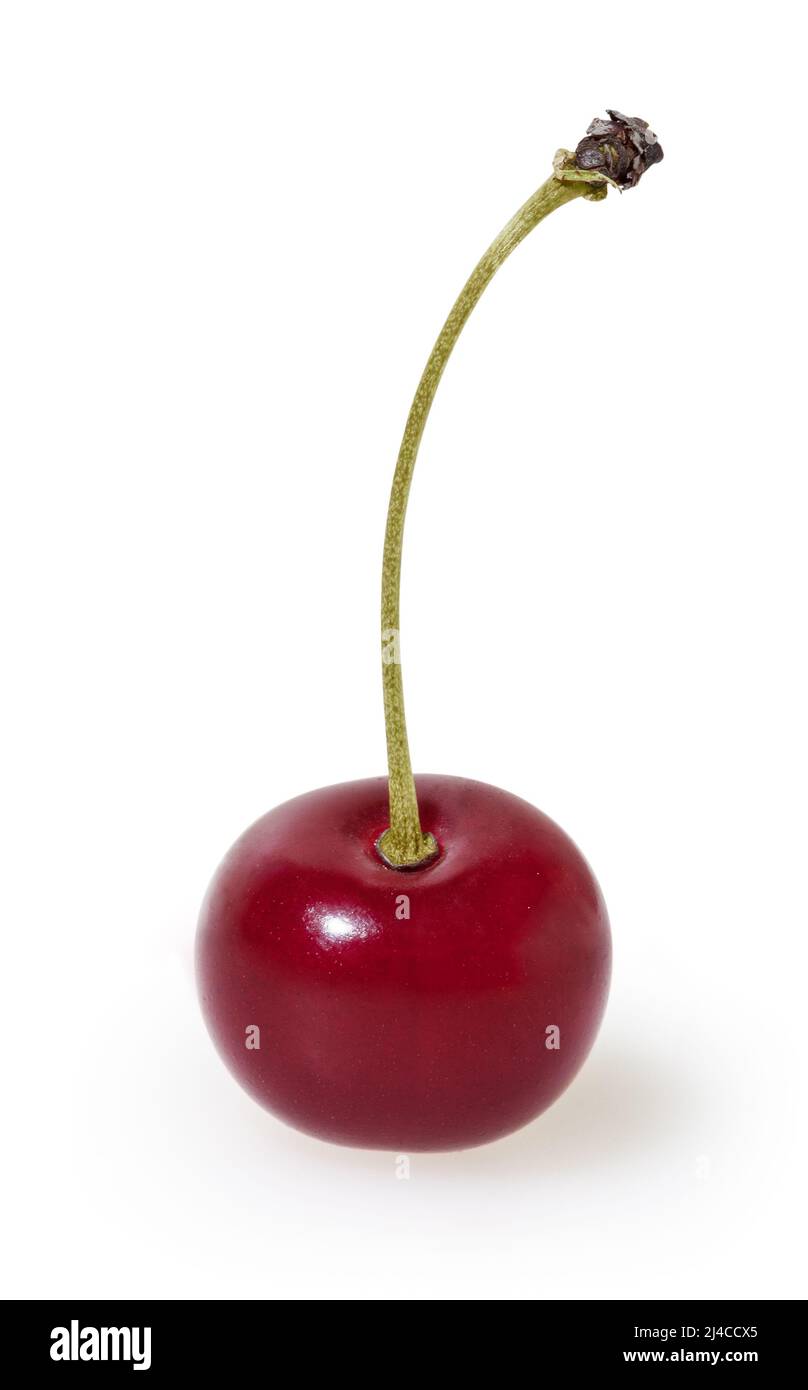 Cherry isolated on white background with clipping path Stock Photo