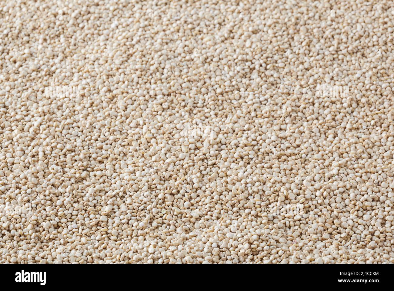Dried white quinoa seeds background Stock Photo