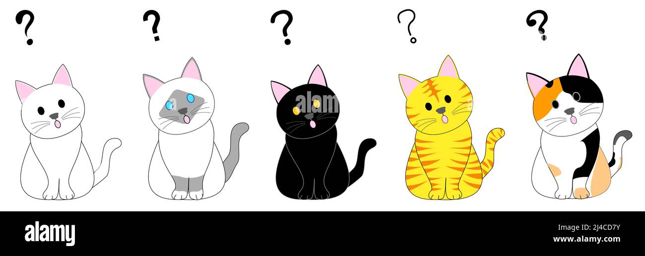 various cats with question mark white cat, Birman cat, black cat, tabby cat, calico cat Stock Photo