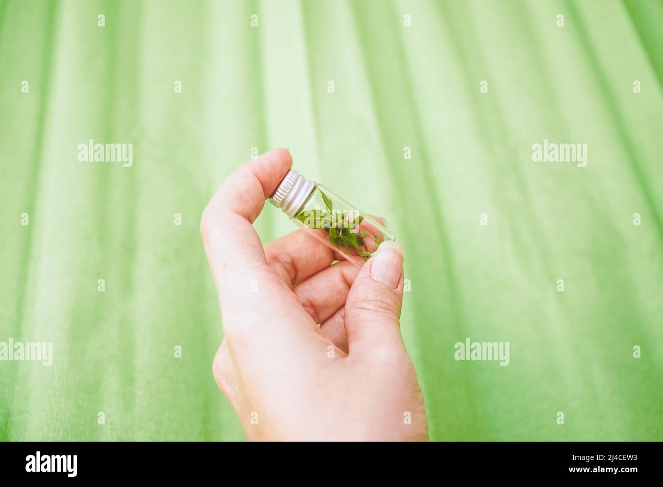Hand holding a tiny bottle with a tiny plant inside it as a concept of fragility of sustainability Stock Photo