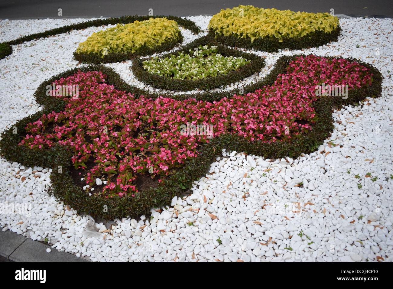 Red and pink begonia and marigold with artificial decorative white stone, landscape design. Gardens In Bloom, Landscape Design elements. Flower garden Stock Photo