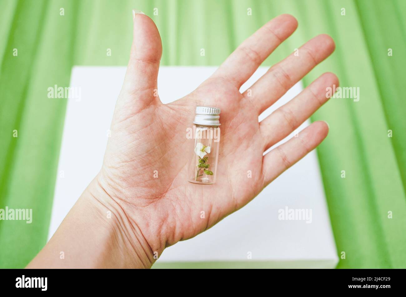 Hand holding a tiny bottle with a tiny plant inside it as a concept of fragility of sustainability Stock Photo