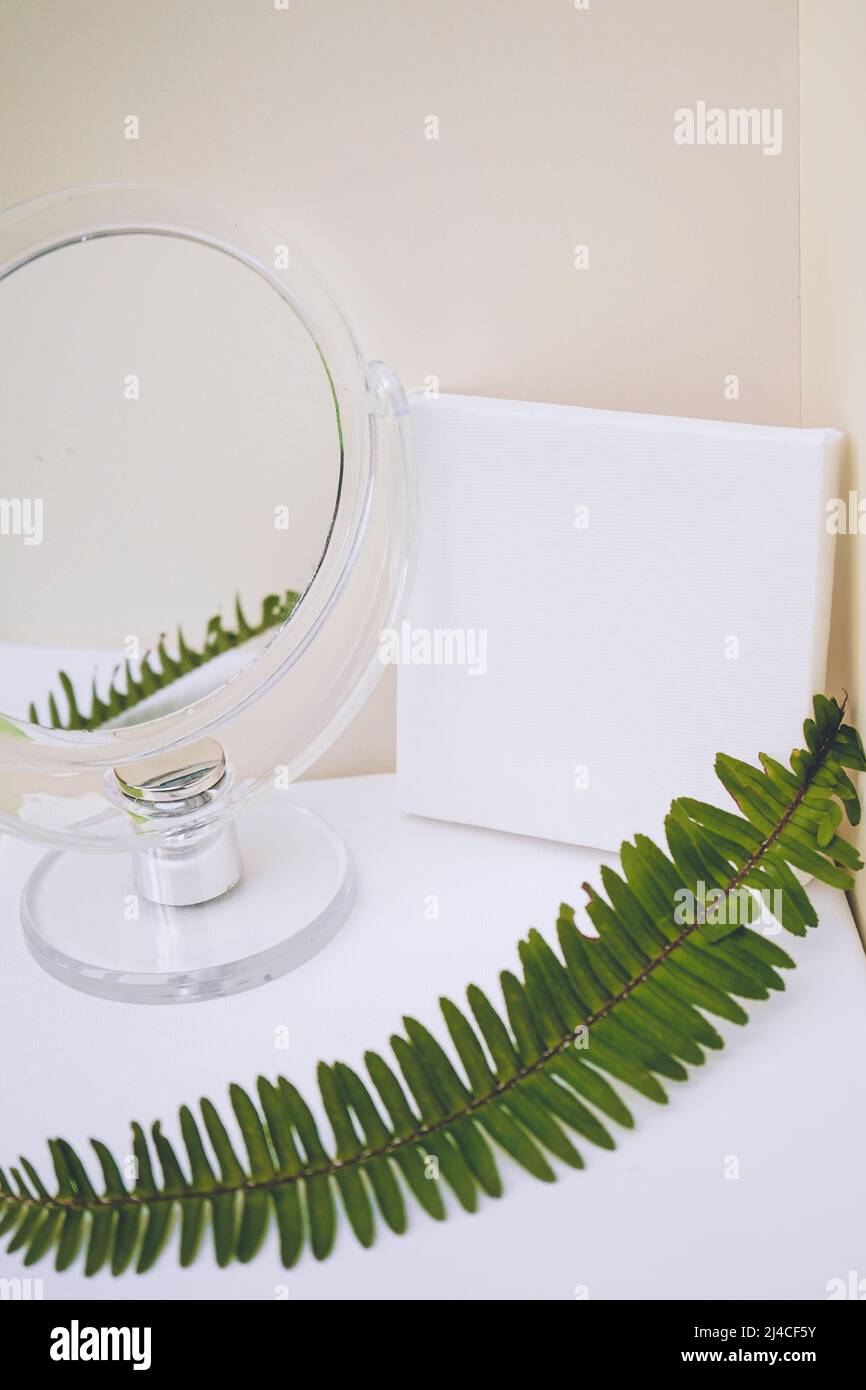 Clean and natural mockup in green and neutral tones Stock Photo Alamy