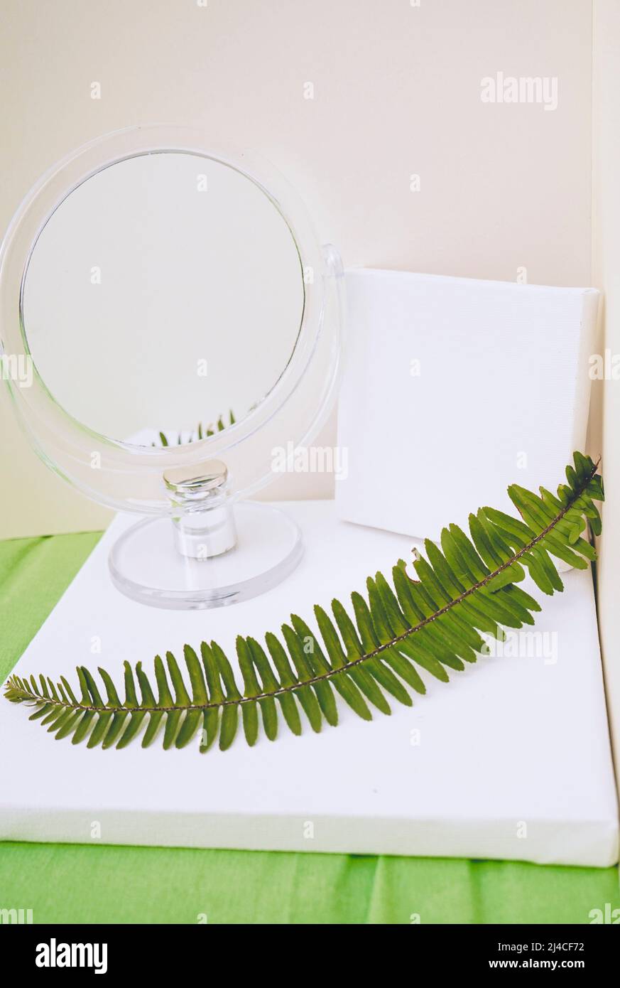 Clean and natural mockup in green and neutral tones Stock Photo Alamy