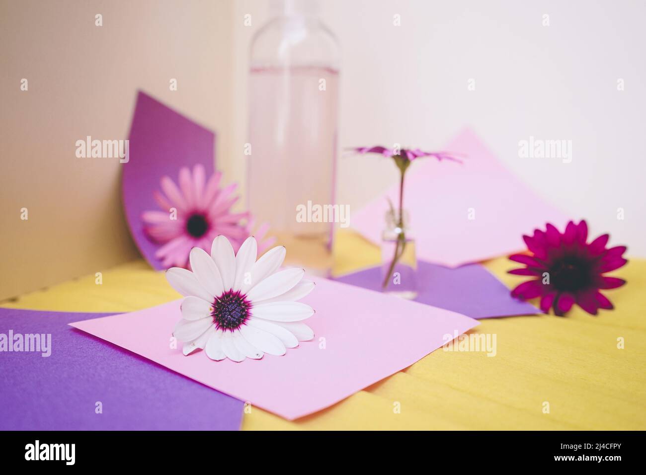 Still life of eco cosmetics with flowers in paper background design in purple and yellow tones Stock Photo