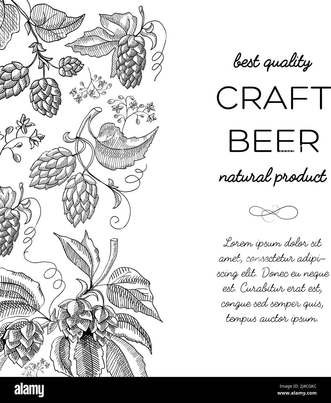 Black and white colored with hop cartoons with berries, foliage and many decorative squiggles and inscription about natural product of craft beerbest Stock Vector