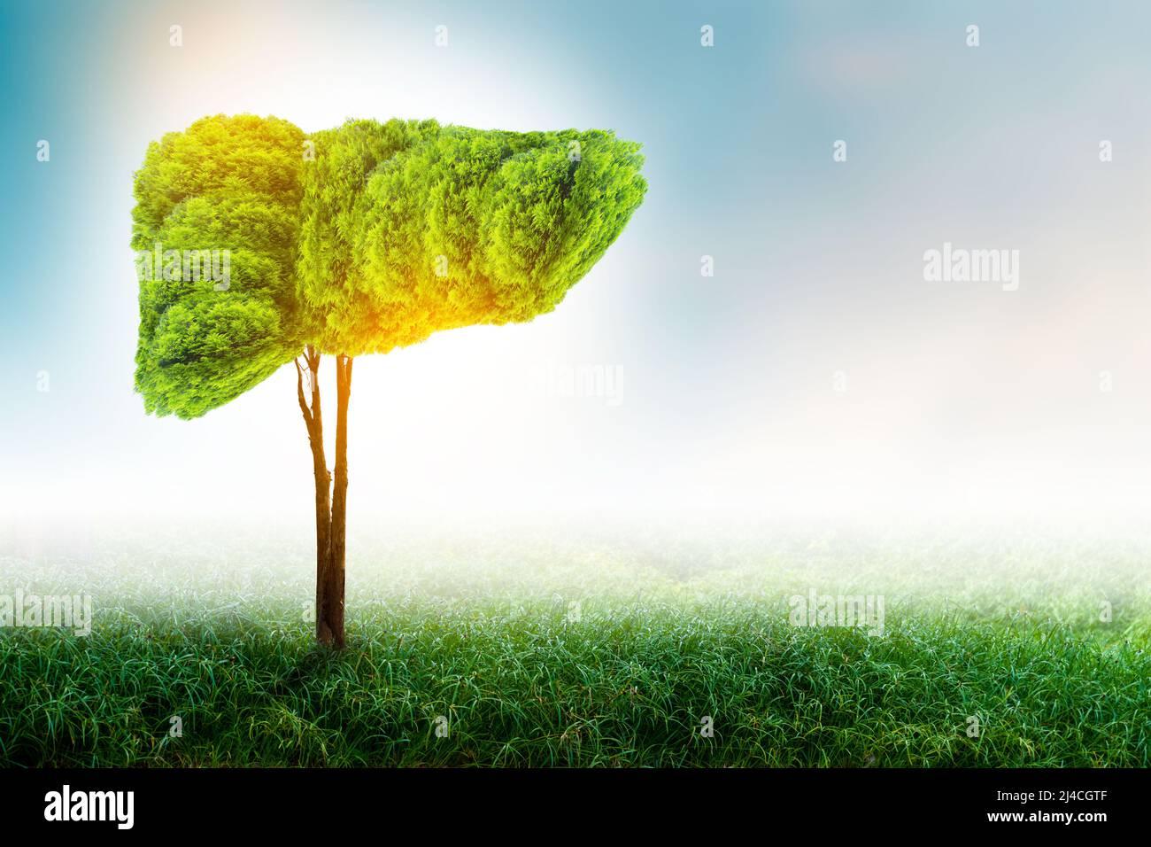 Realistic liver images are human green tree shapes about diseases and